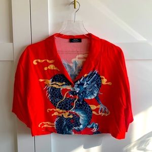 Crop top, button down fire breathing top